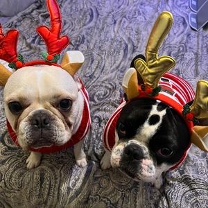 Meet your Posher, Edward